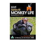 MONKEY LIFE SERIES 10.